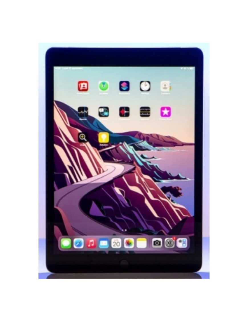 APPLE IPAD 9 10.2" (A2602) 64GO 