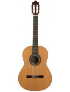 GUITARE ROYSON SW220S NT SF