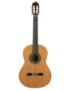 GUITARE ROYSON SW220S NT SF