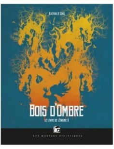 LIVRE LE LIVRE DE L'ENIGME...