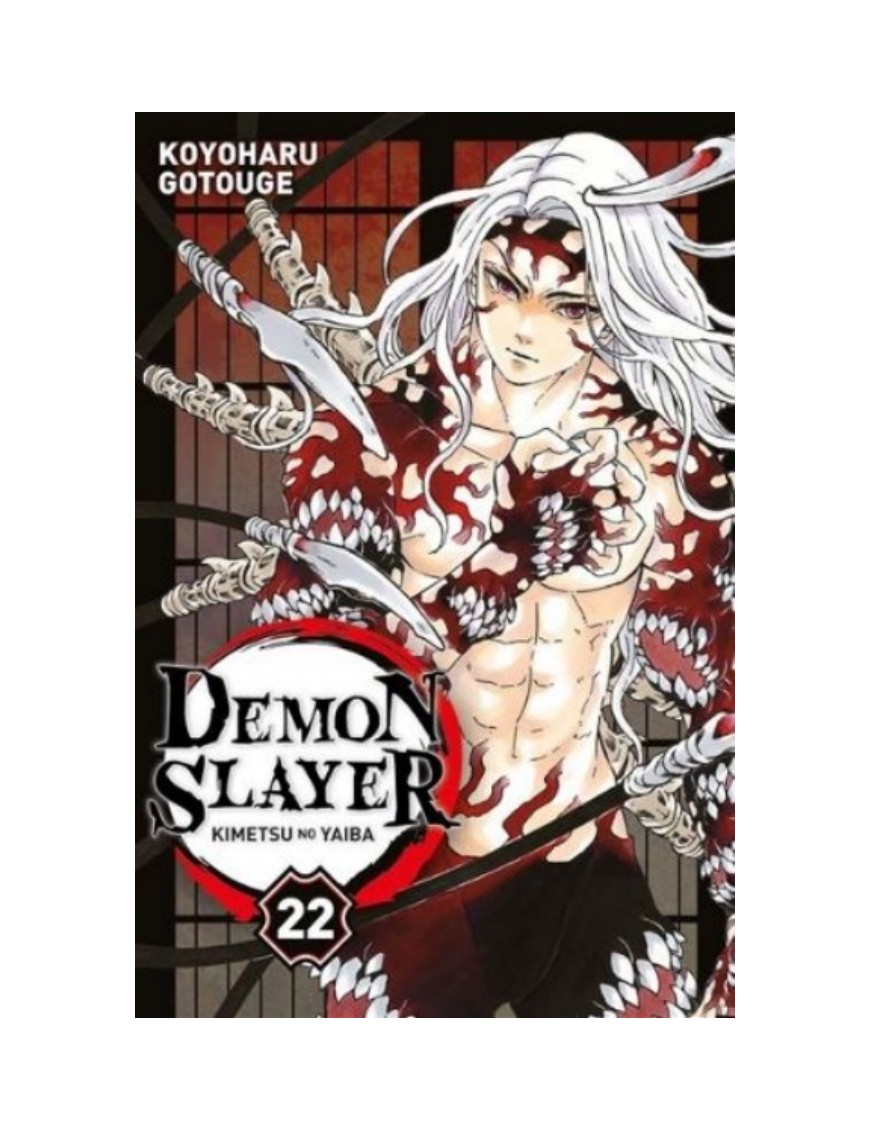MANGA DEMON SLAYER - TOME 22