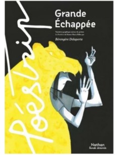 LIVRE GRANDE ECHAPEE :...