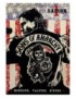 DVD SONS OF ANARCHY SAISON 1