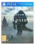 JEU PS4 SHADOW OG THE COLOSSUS 