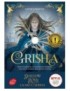 LIVRE GRISHA : TOME 1 - LEIGH BARDUGO