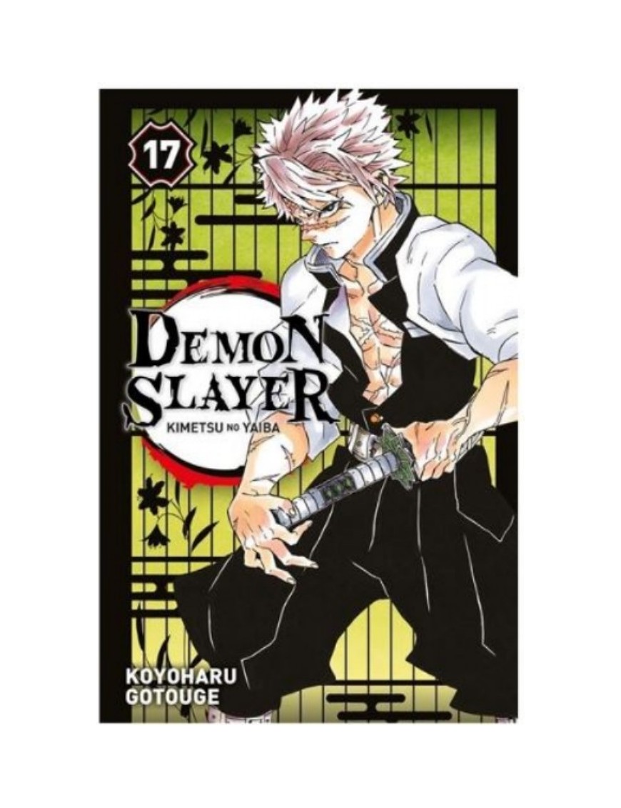 MANGA DEMON SLAYER - TOME 17
