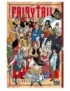 MANGA FAIRY TAIL - TOME 6