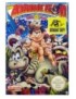 JEU NES THE ADVENTURE ISLAND - PART II (LOOSE)