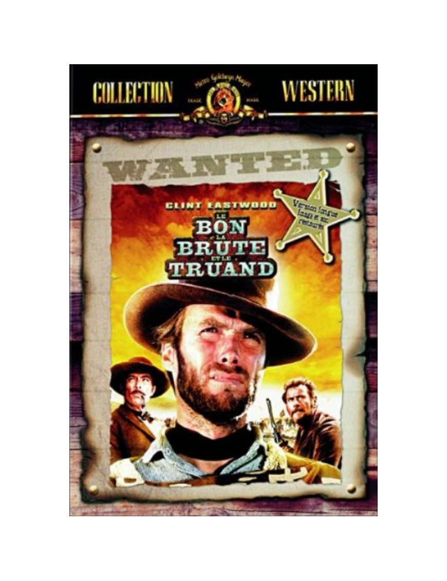 DVD LE BON LA BRUTE ET LE TRUAND 
