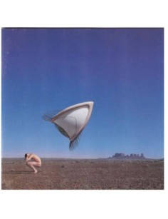 CD BURY THE HATCHET