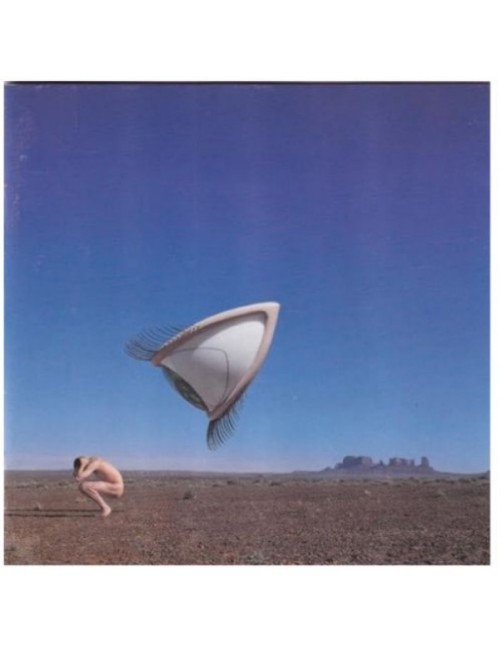 CD BURY THE HATCHET