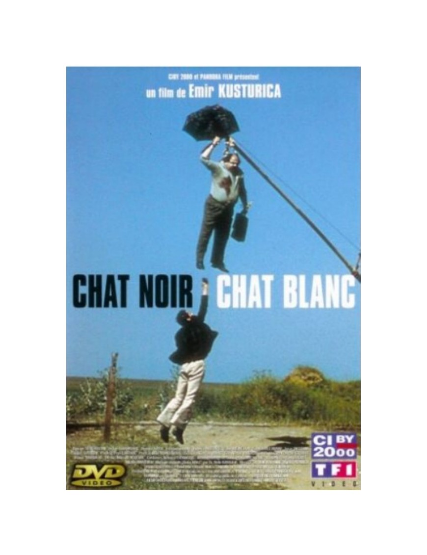DVD CHAT NOIR CHAT BLANC