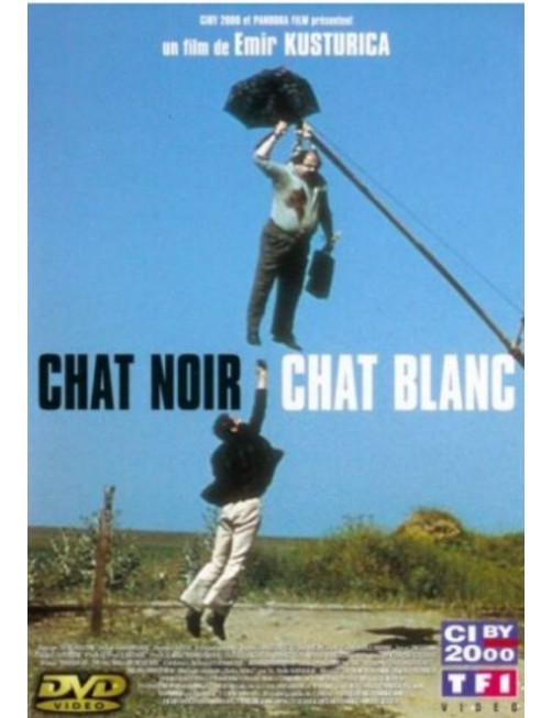DVD CHAT NOIR CHAT BLANC