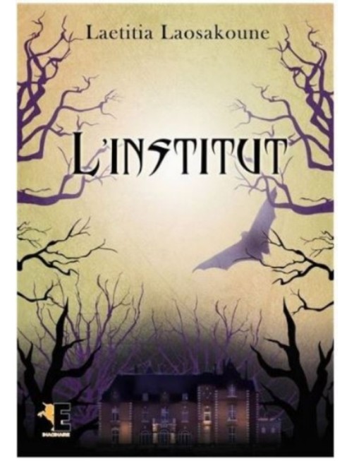 LIVRE L'INSTITUT - LAETITIA LAOSAKOUNE