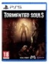 JEU PS5 TORMENTED SOULS 