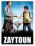 DVD ZAYTOUN