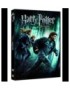 DVD HARRY POTTER ET LES RELIQUES DE LA MORT - 1ERE PARTIE