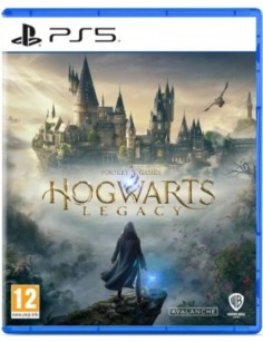 JEU PS5 HOGWARTS LEGACY :...