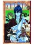 MANGA FAIRY TAIL - TOME 25