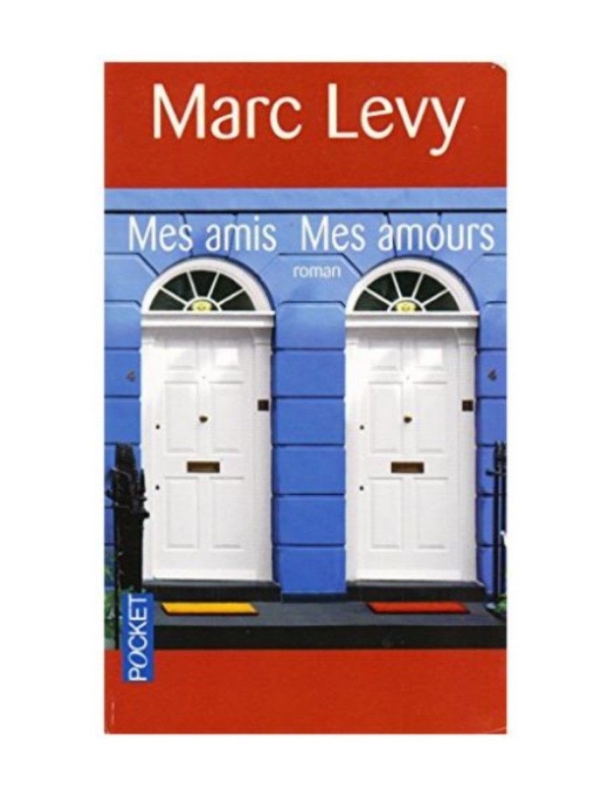 LIVRE MES AMIS MES AMOURS