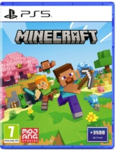 JEU PS5 MINECRAFT 