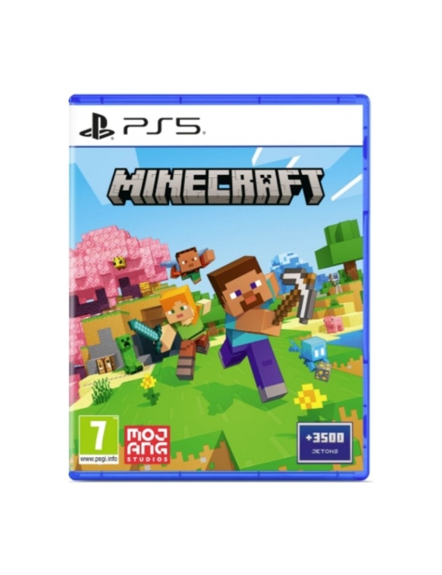 JEU PS5 MINECRAFT 