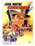 DVD CHISUM 