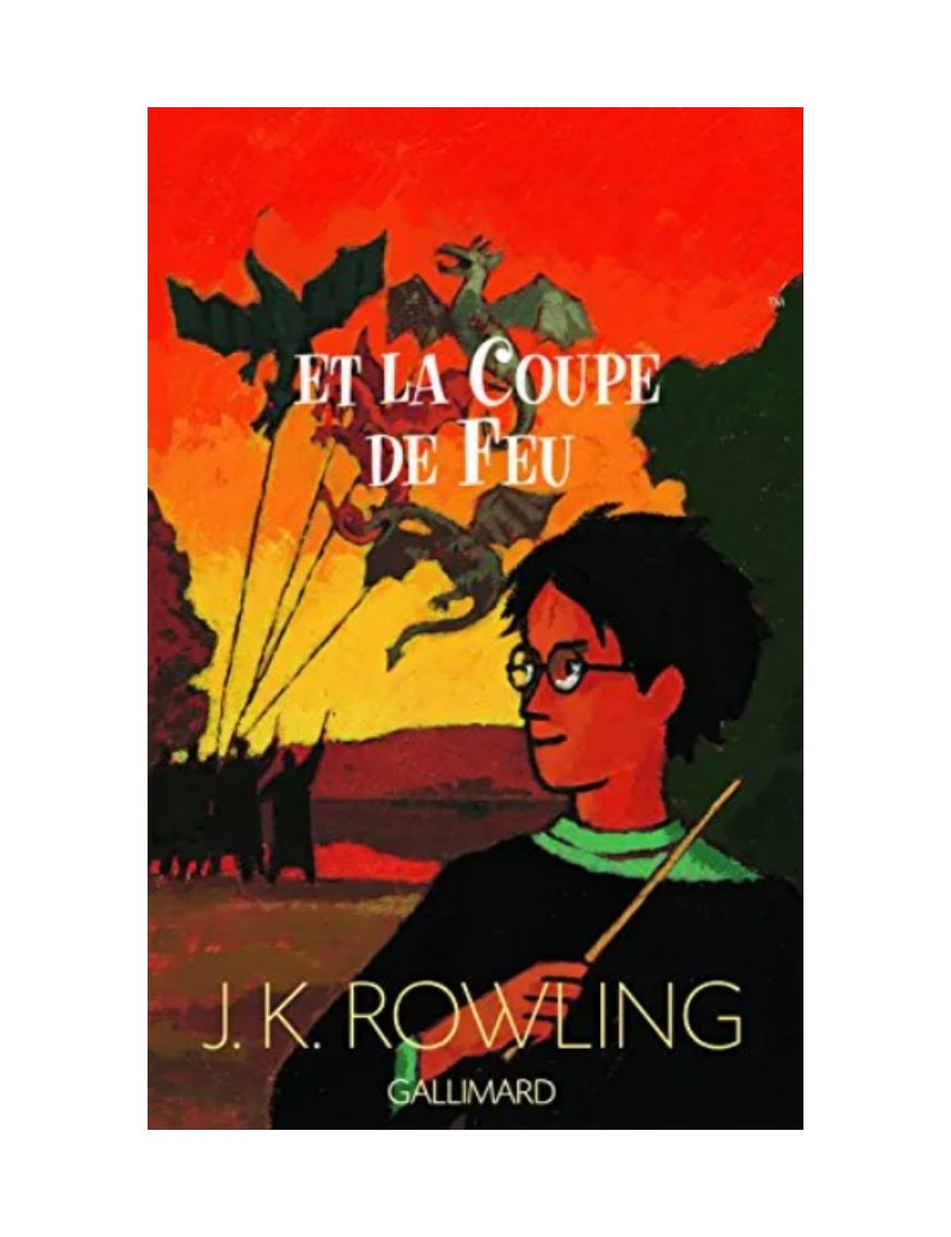 LIVRE HARRY POTTER, TOME 4 - HARRY POTTER ET LA COUPE DE FEU