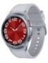 SAMSUNG GALAXY WATCH6 CLASSIC 43MM (SM-R950)