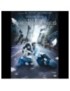 DVD PHENOMENES