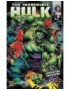 COMICS INCREDIBLE HULK T2 - DEMONS GUERRIERS