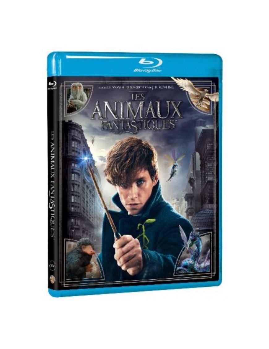 BLURAY LES ANIMAUX FANTASTIQUES