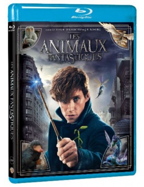 BLURAY LES ANIMAUX FANTASTIQUES