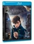 BLURAY LES ANIMAUX FANTASTIQUES