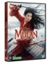 DVD MULAN (2021)