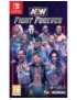JEU SWITCH AEW: FIGHT FOREVER - NINTENDO SWITCH