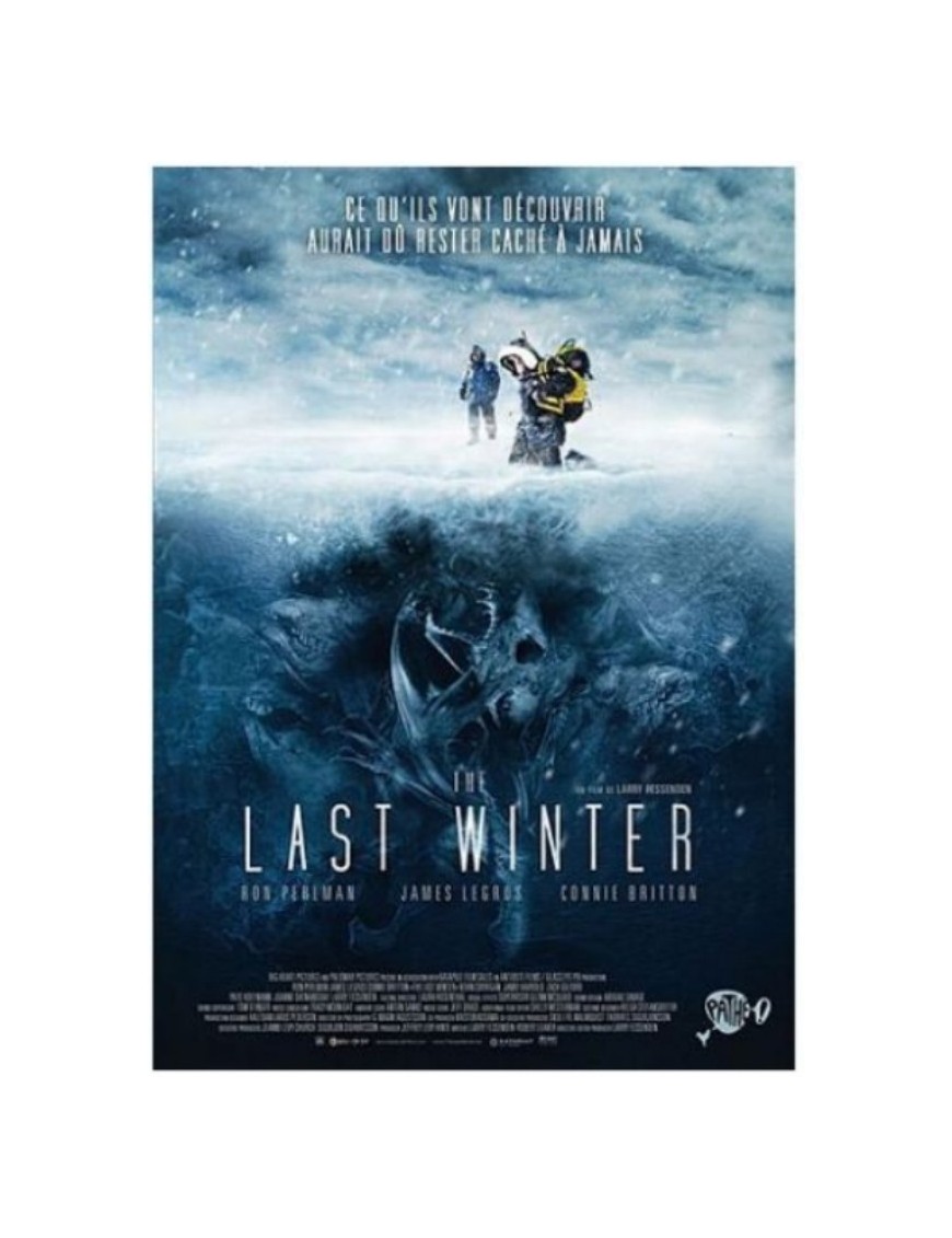 DVD THE LAST WINTER