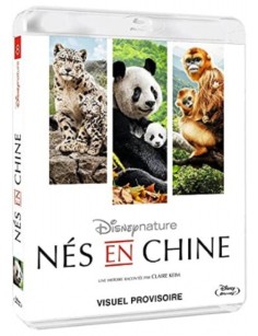 BLURAY NES EN CHINE