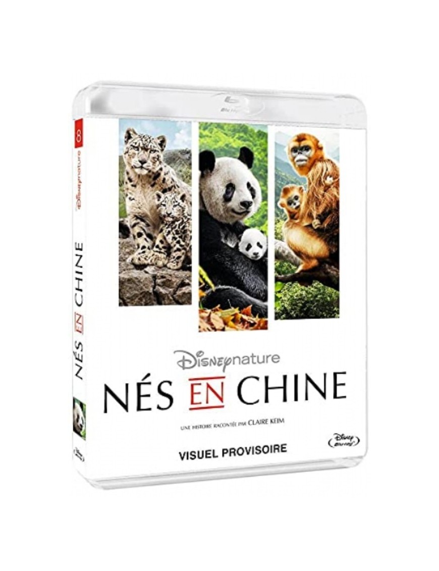 BLURAY NES EN CHINE