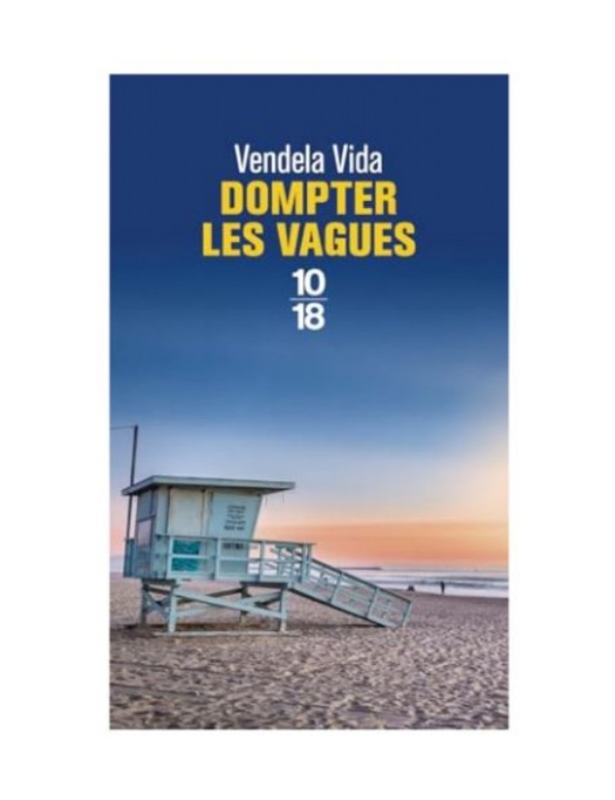 LIVRE DOMPTER LES VAGUES