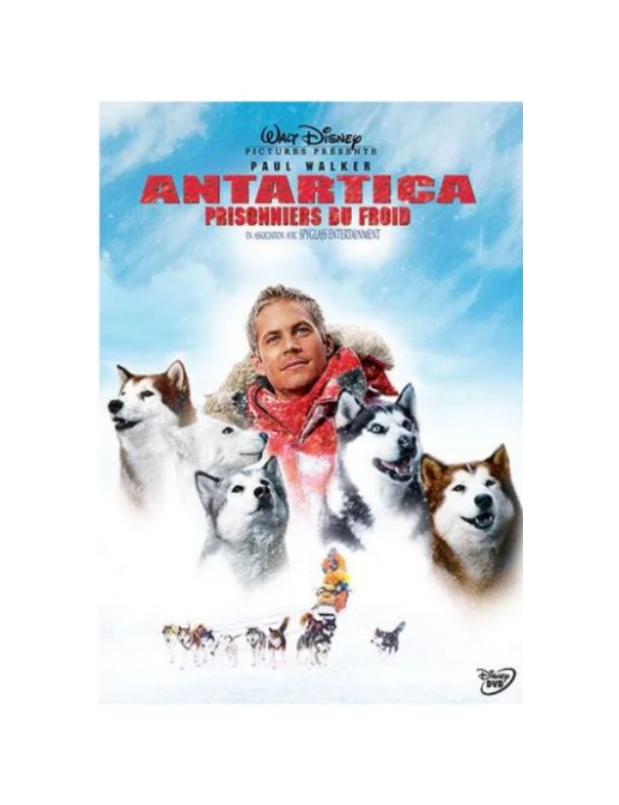 DVD ANTARTICA : PRISONNIER DU FROID