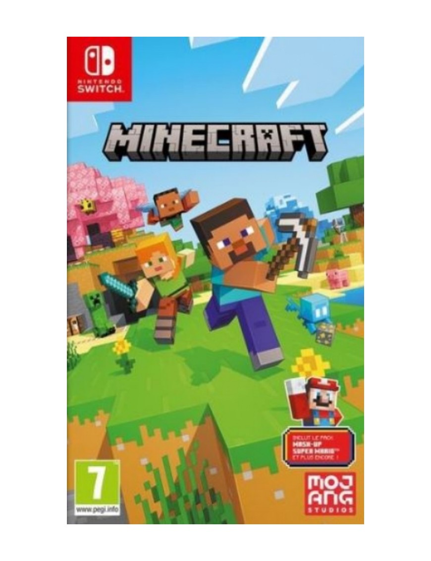 JEU SWITCH MINECRAFT