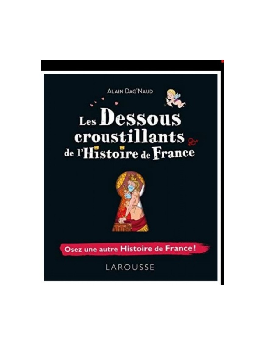 LIVRE LES DESSOUS CROUSTILLANTS DE L'HISTOIRE DE FRANCE - OSEZ UNE AUTRE HISTOIRE DE FRANCE !