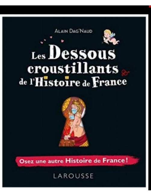 LIVRE LES DESSOUS CROUSTILLANTS DE L'HISTOIRE DE FRANCE - OSEZ UNE AUTRE HISTOIRE DE FRANCE !